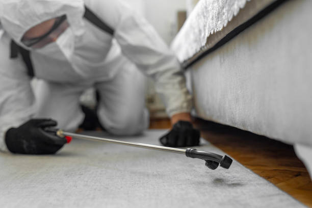 Professional Pest Control technician working in Illinois, IL