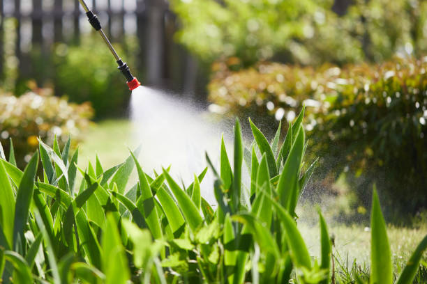 24/7 Emergency Pest Control experts in Illinois, IL